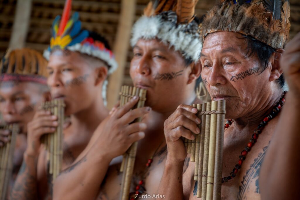 ZDO 0647 indigenas